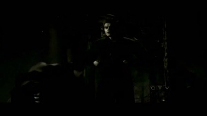 Elena & Damon