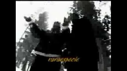 organized konfusion - stress -