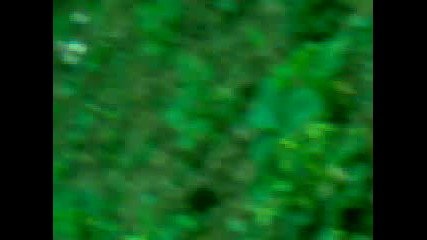Buketler Ya Way Kadinlar Icin 2015 Hd