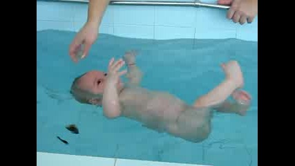 Дани Плува