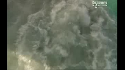 Островът На Мечтите Част1/5 (discovery Channel.)