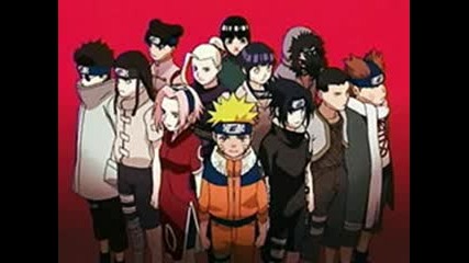Team 7