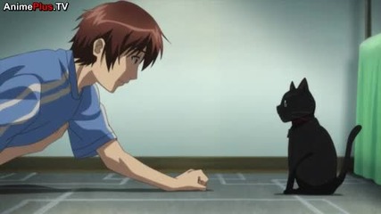 Holy Knight Episode 2 - Watch Holy Knight Episode 2 English Sub