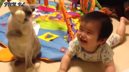 Компилация Смях ! Funny Cats And Dogs Playing With Babies Compilation 2015