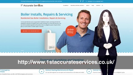 1st Accurate Services