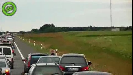 Вижте как се всява ред по пътищата