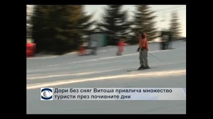 Дори без сняг Витоша привлича множество туристи през почивните дни