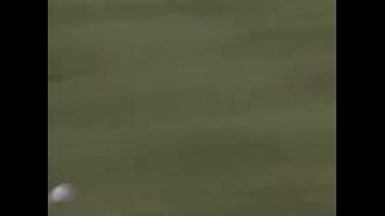 Pele