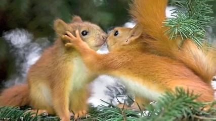 Endless Love - (diana Ross and Lionel Ritchie) - 07.02.14g.-29.03.