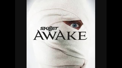 Skillet - Hero