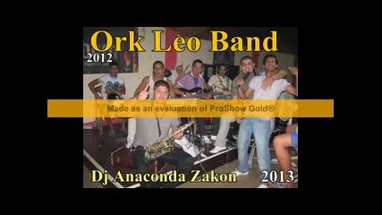 Ork Leo Band - Hiti nilayeskoro 2012 2013 Dj Anaconda Zakon