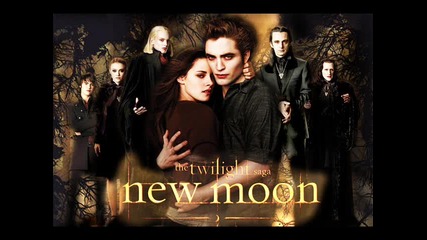 twilight & new moon 