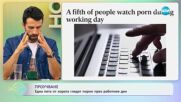 Проучване - една пета от хората гледат порно през работния ден - „На кафе” (29.11.2023)