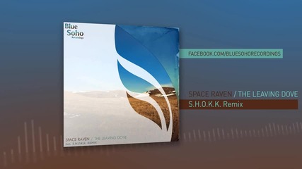 2013 • Space Raven - The Leaving Dove (s.h.o.k.k. remix)