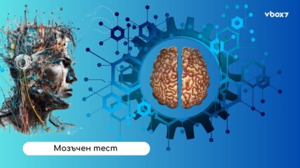 Тест: Какъв тип мозък имаш според Gen Z реалността? ?