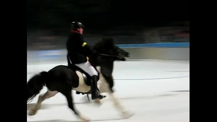 speed horse