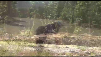 Mount Washington Promotional Video