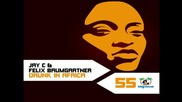 Jay - C And Felix Baumgartner – Drunk In Africa ( Chris Montana Tech Funk Remix )
