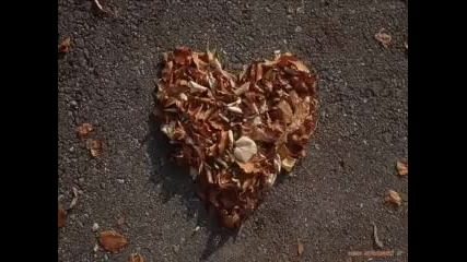 Buddha Bar-love secret