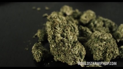 Paul Wall - Po Up Poet