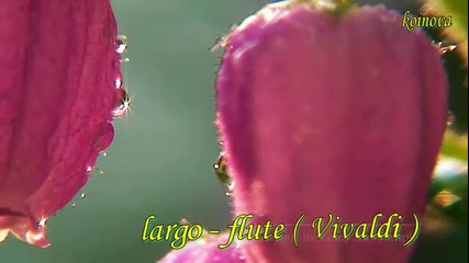 largo - flute ( Vivaldi )