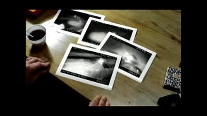 Speed Camera - Vivident
