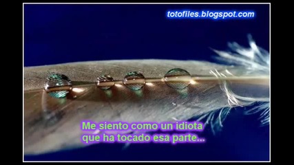 Toto - A Secret Love 