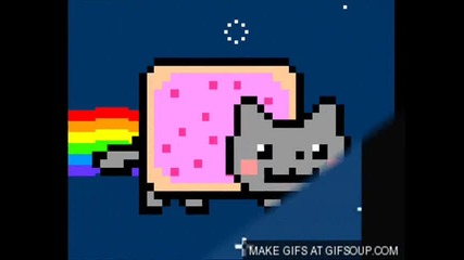 nyan cat