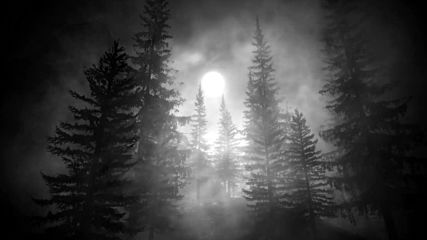 Before The Dawn - In Fear They Sleep