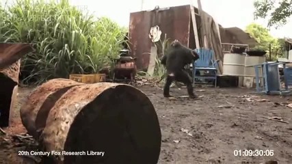 Войници дават зареден автомат на маймунка