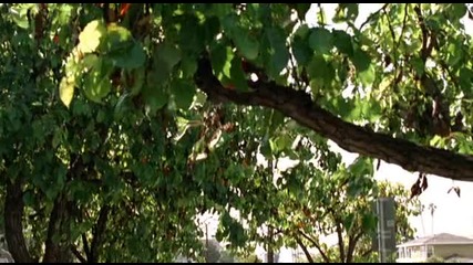 Point Pleasant s01 ep10 part2 