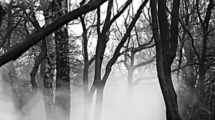 Jethro Tull - Witchs Promise