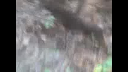 selo Obidim