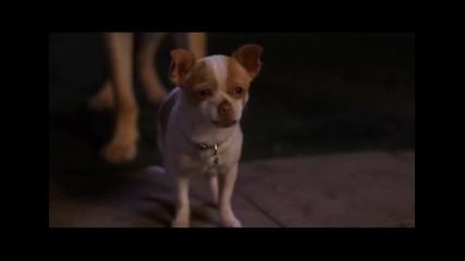 Beverly Hills Chihuahua 2 - Бевърли Хилс Чихуахуа 2 (2011) Целия Филм с Бг Аудио