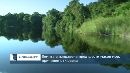 Земята е изправена пред шести масов мор, причинен от човека