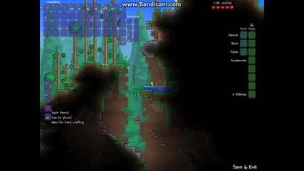 Terraria singleplay