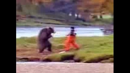 Bear_fight