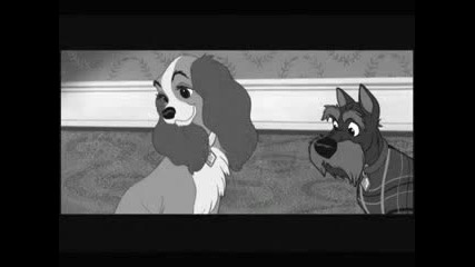 What A Beautiful Day (lady And The Tramp)