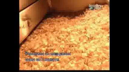 Как Се Прави... Чипсът Bgsub