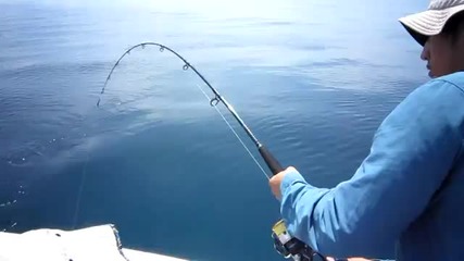 Акула хваща улова на рибар