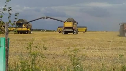 Zniwa 2010 cz.1 
