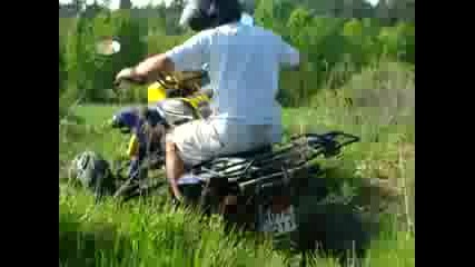 Bashan
