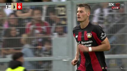 Elversberg vs. Bayer 04 Leverkusen - Game Highlights