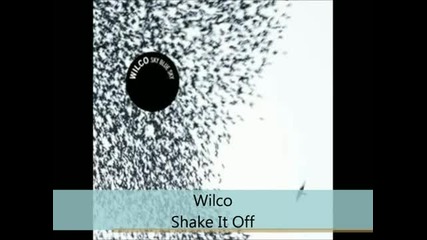 Wilco - Sky Blue Sky - Shake It Off