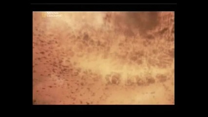 Naked Science - Human extinction 6