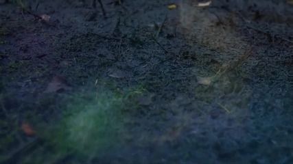 Gunman The Holy Ghost - Jesus Why Can t I Walk With You
