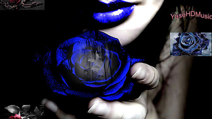 @ Brunuh Ville - Blue Rose @ H D