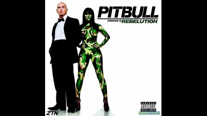 Pitbull - Cant Stop Me Now feat. The New Royales 