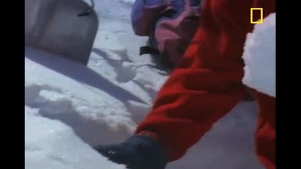 Avalanches 101