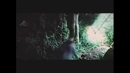 Twilight - Forest